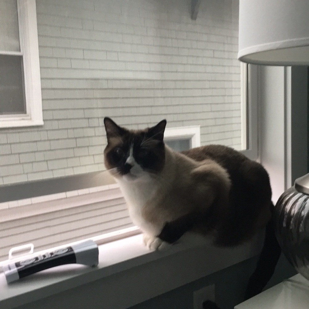 Meet your Posher, Christie